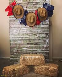 Too often when you're looking for western party ideas, all you find are boots and cowboy hats. Diy Backdrop Out Of A Clothes Rack And Clamps Cowboy Theme Party Western Theme Party Cowboy Party Decorations