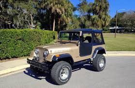 Image result for Beige Antelope 1983 Fleet