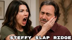 Stephen Logan's 5 Words SHOCK Katie & Brooke — Bold & the Beautiful Drama!”  Stephen Logan's unexpected homecoming and five decisive words have  violently shattered the longstanding feud between sisters Brooke and