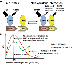 نتیجه جستجوی لغت [fret] در گوگل