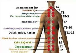 Hacamatin Faydalari Tedavi Ettigi Hastaliklar Hacamat Yaptirmak Icin En Uygun Gunler Kimler Hacamat Yaptiramaz Hacamat Refleksoloji Tibbi Alternatif Saglik
