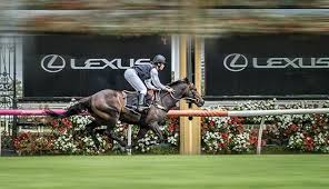 Great news!!!you're in the right place for lexus purse. Lexus Named New Melbourne Cup Sponsor Purse Increase Likely Horse Racing News Paulick Report