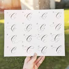 Polubienia 407 Komentarze 52 Sf Bay Area Calligrapher Theirenespiration Na In 2020 Hand Lettering Alphabet Capital Letters Calligraphy Lettering Alphabet Fonts All you need to do it are a few special tools and a bit of patient practice.