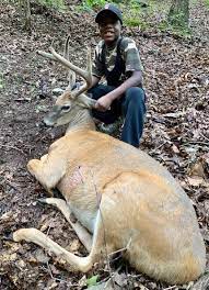 Maybe you would like to learn more about one of these? Deer Hunting Season Tennessee Wildlife Officials Expect A Busy 2020 For Archery