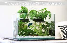 Of gravel keeps soil sweet. Aquarium Garden Transforms Any Fish Tank Into A Lush Ecosystem