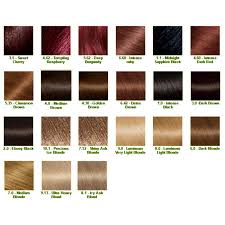 Garnier Color Intensity Hair Color Hair