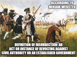 Jan 07, 2021 · insurrection definition insurrection is defined by the oxford languages dictionary as a violent uprising against an authority or government. sedition definition Image Tagged In Freedom Fascism Dictator Tyranny Democrats Voter Fraud Imgflip