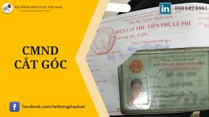 Những luận cứ ấy có hiển nhiên, có sức thuyết phục không? Chá»©ng Minh Nhan Dan Cáº¯t Goc Co Con Gia Trá»‹ Sá»­ Dá»¥ng