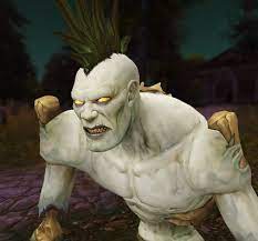 The Best Race For Tbc Rogue Silent Shadows