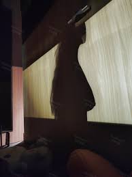 Riwo 777 hidden night vision