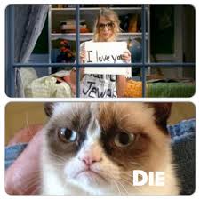 Grumpy Cat Meets Taylor Swift Funny Grumpy Cat Memes Grumpy Cat Humor Grumpy Cat Quotes