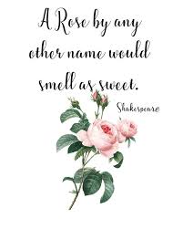 A Rose By Any Other Name Would Smell As Sweet Shakespeare Etsy In 2020 Smell Quotes Rose Quotes Pink Rose Print