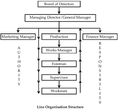Organisation Organizational Structure Organisational Chart