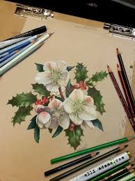 Christmas Rose Or Helleborus Niger In Colored Pencil And Marker On Toned Drawing Paper Available Color Pencil Drawing Color Pencil Art Colored Pencil Artwork