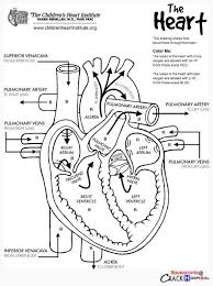 You also can download other books, magazine and also comics. The Heart Internal Anatomy Coloring Sheet Google Search Heart Diagram Cardiac Nursing Nurse