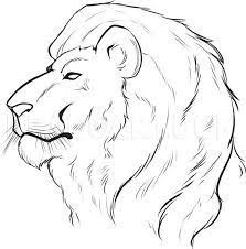 Learn to draw on the wild side. How To Draw A Lion Face Step By Step Drawing Guide By Dawn Dragoart Com
