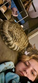 This is bruno my sister Lauren Garza puppy he went missing/ December 5th  someone has him and she just wants him back home her and her kiddos miss  him alot if you