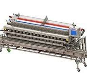16-scale packing machine for blueberries - Milbor PMC