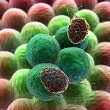 Experiencing god in the midst of breast cancer offers both spiritual and practical help for the journey. Beat Cancer God S Way Enjoy The Abundant Life