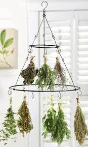 Herb Drying Rack I Really Need One Of These Herb Drying Racks Drying Herbs Hanging Herbs