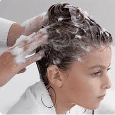 Fawn's fervent about head lice: Turk Attar Paranit Hair Lice Treatment Spray To Kill Head Lice And Nits 100 Ml Special Comb Gift