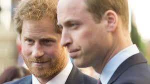 Labour MP Faces Backlash After Calling Prince Harry And Prince William 'Not  That Bright'