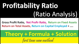 A Profitability Ratio Analysis Is A Good Way To Measure Company S Performance Profitability Rat Analysis Project Management Templates Project Management Tools
