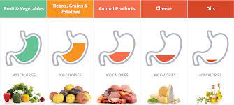 Whole Food Plant Based Diet Guide Center For Nutrition Studies Plant Based Diet Whole Food Recipes Plant Based Diet Recipes