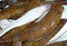 Deepwater Flathead Australian Fisheries Management Authority