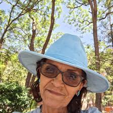 🚨 TELMEX DEJA DE SER PATROCINADOR DE REDBULL PARA LA TEMPORADA 2025 A  través de una imagen en redes sociales, se confirmó que el equipo de  bebidas energéticas ya no tendrá los