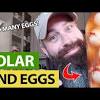 A heck of a lot of eggs. 1