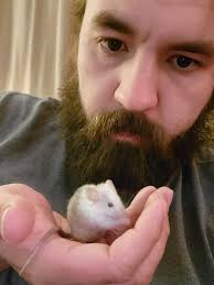 Daddy did a photoshoot with Cowlick (update and adorable antics in  comments) : r/PetMice