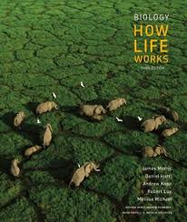 Biology How Life Works 3rd Edition Pdf Free Download Biology How Life Works 3rd Edition James Morris Macmillan Learning