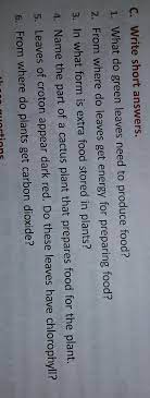 Learn everything you need to know about their names, flowers, and different types. C Write Short Answers Lt Br Gt 1 What Do Green Leaves Need To Produce Food Lt Br Gt 2 From Brainly In