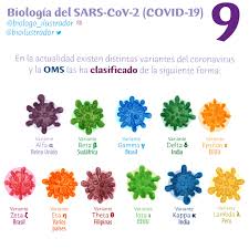 La variante lambda, identificada por primera vez en perú, se ha registrado en 29 países hasta la variante se había detectado en el 81% de las muestras de coronavirus secuenciadas en perú. Variante Lamba