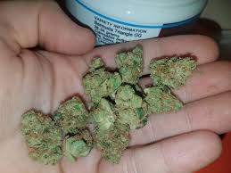 Enjoying Some Sweet Piney Bermuda Triangle Og After Work Steemit