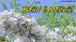 Più di 150,000 immagini riordinate chiaramente in categorie. 8 Marzo Festa Delle Donne Video Gif E Frasi Di Auguri Gratis Con Mimose