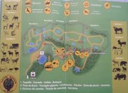 En el cultural, madrid cuenta con museos de fama mundial como el museo del prado y el museo reina sofía. Entradas Safari Madrid Taquilla Com