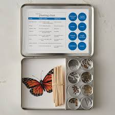 How To Attract Butterflies Butterfly Garden Design Ideas Butterfly Garden Kit Butterfly Garden Design Butterfly Garden