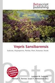 Image result for Vepris sansibarensis