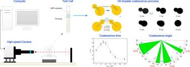 An Experimental Study On The Coalescence Behavior Of Oil