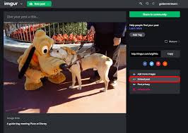 A plant of tropical southeast asia having. Embed Unit Imgur