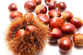 Ch&acirc;taignes, marrons comestibles ou toxiques - Observatoire des aliments