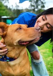 #UGC #vivoColombia #campañapet #models #campaña #fyp #funny #parati