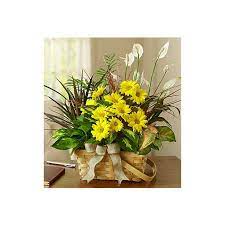 Check spelling or type a new query. 1 800 Flowers Dish Garden With Fresh Cut Flowers Long Beach Ca
