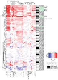 Maybe you would like to learn more about one of these? Arabidopsis Rcd1 Coordinates Chloroplast And Mitochondrial Functions Through Interaction With Anac Transcription Factors Elife