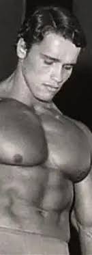 Arnold Schwarzenegger, a True American Patriot, Delighted After Meeting US  Army Lieutenant General