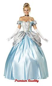 Enchanting Princess Adult Costume Enchanting Princess Adult Costume Feel Just Like Cinderella Make A Gr Costumes For Women Cinderella Dresses Princess Costume