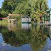 Jeder teichbesitzer kennt den genuss nach einem harten arbeitstag noch ein wenig zeit am gartenteich zu verbringen fische, vögel und die anderen lebewesen z. Https Encrypted Tbn0 Gstatic Com Images Q Tbn And9gctlityabbng402bmb7cjoozbrdf1rv Idyp85fsuym Usqp Cau
