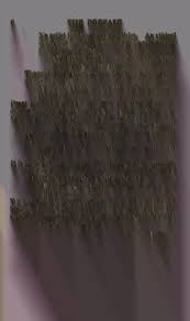 The picture of Dorian Gray